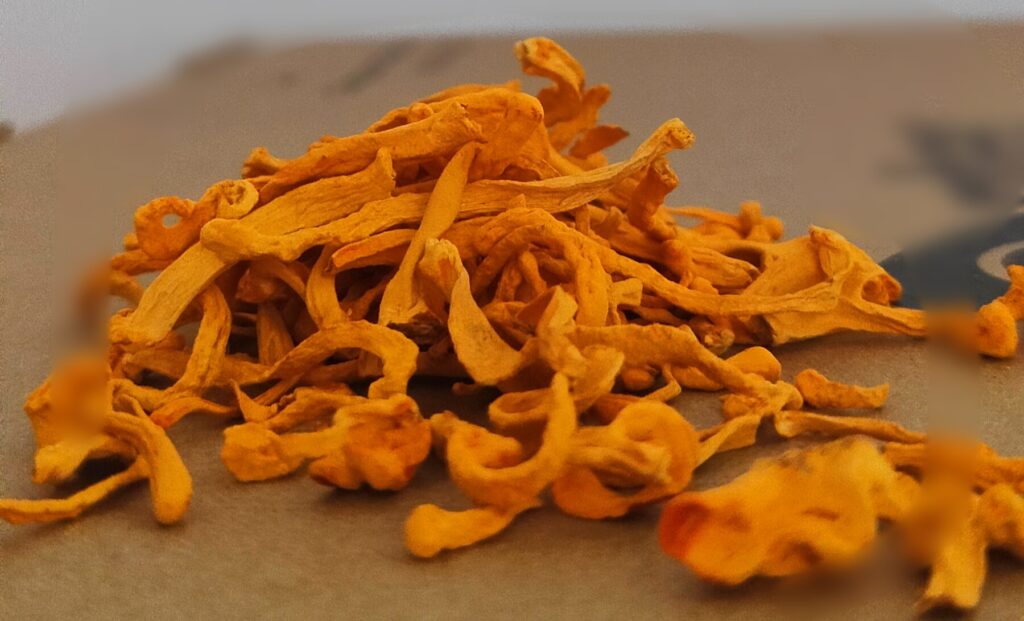 cordyceps benefits 