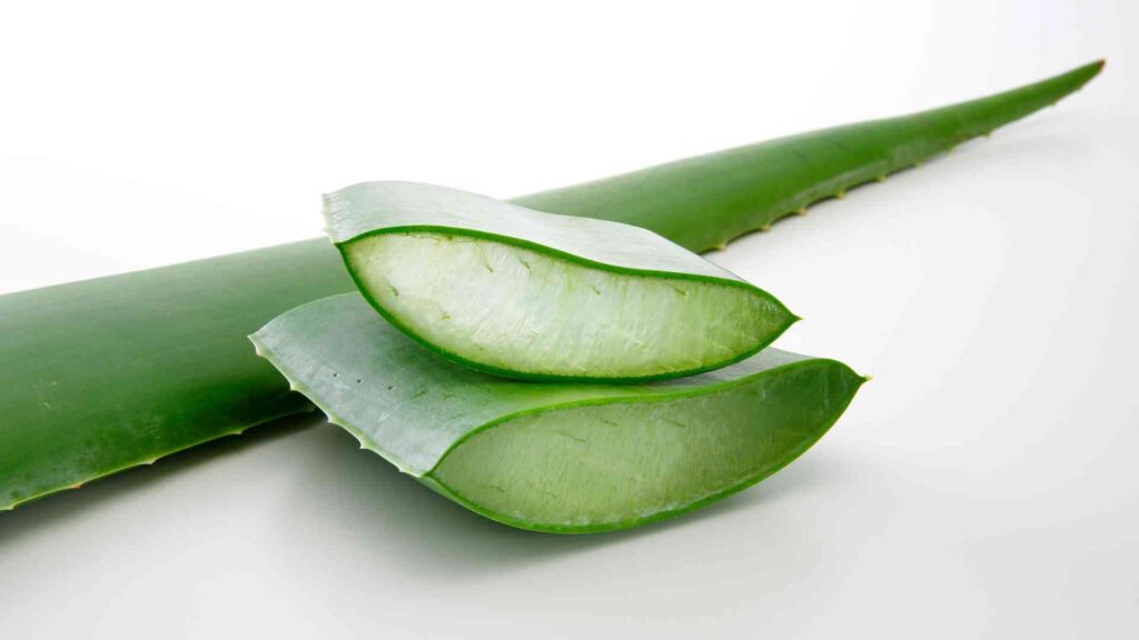 Aloe Vera Gel क्या होता है? स्किन और रूटीन वेलनेस में सरल उपयोग, सुझाव और सावधानियाँ