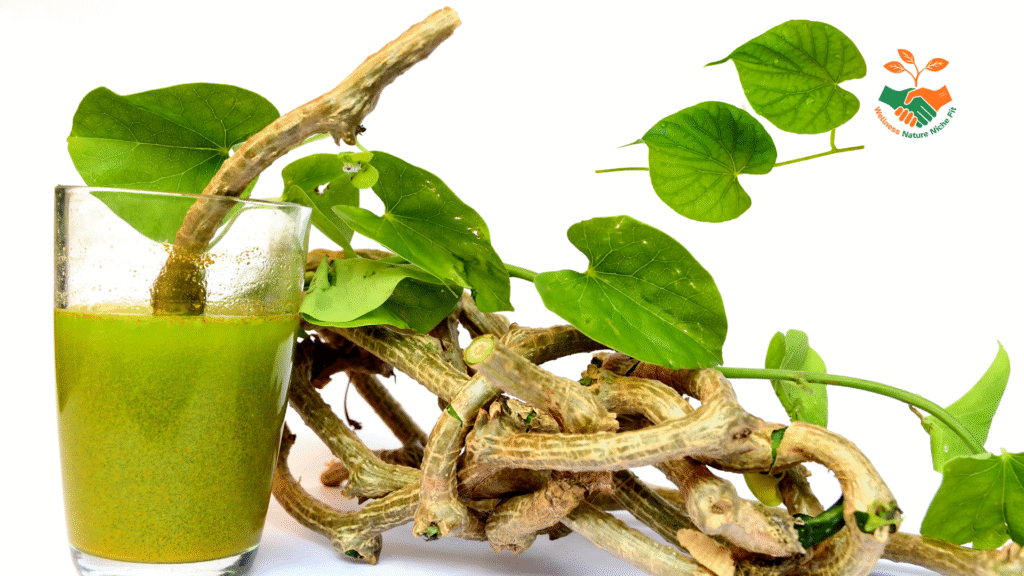 गिलोय (Guduchi) क्या है? पारंपरिक उपयोग, सामान्य लाभ और सावधानियाँ