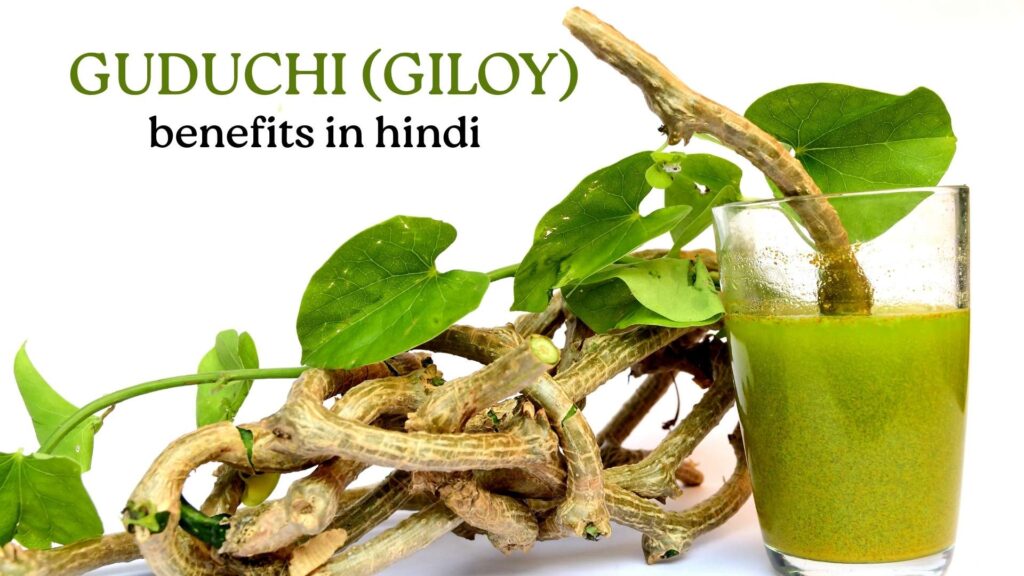 guduchi benefits
