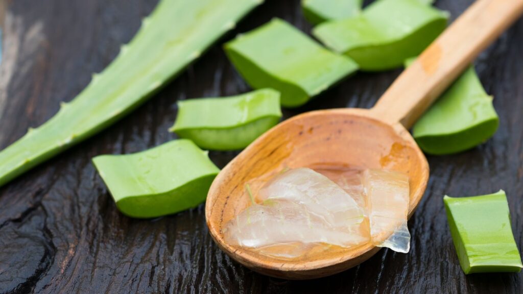 winter home remedies aloe vera